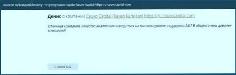 Дилинговая фирма CauvoCapital Com описана в отзыве на веб-сайте revocon ru